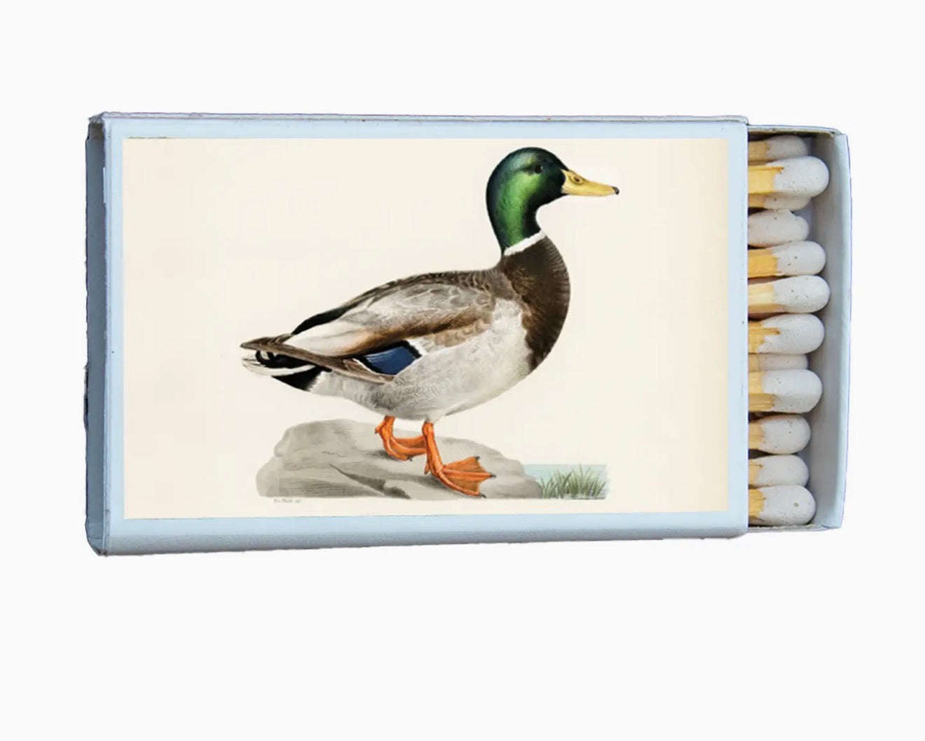 Mallard Duck Matchbox Otarealm