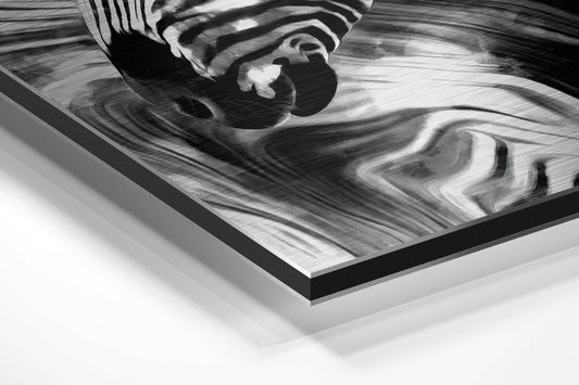 Black and White Marbled Zebra Brushed Aluminium Dibond Wall Art