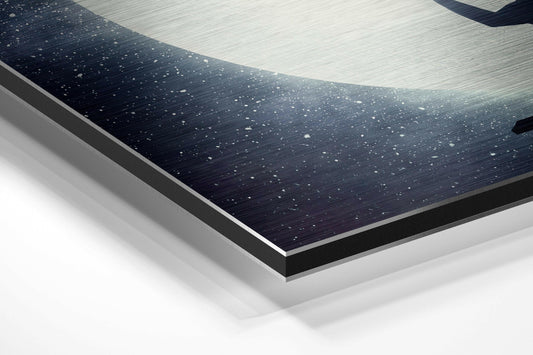 Balloon Brushed Aluminium Dibond Wall Art