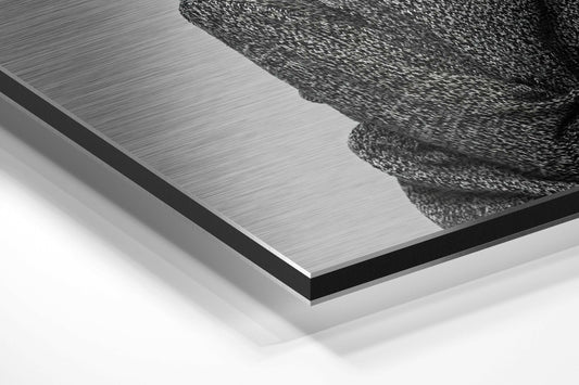 Goat-Headed Brushed Aluminium Dibond Wall Art