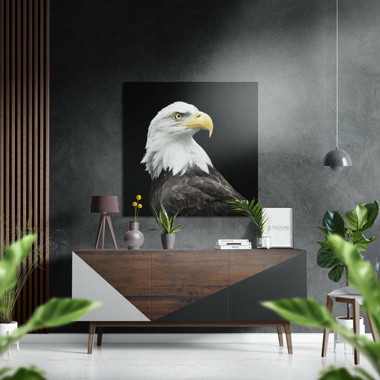 Bald Eagle Profile On Black Brushed Aluminum Dibond Wall Art