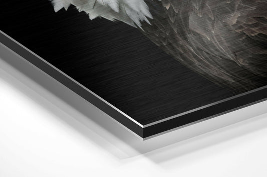 Bald Eagle Profile On Black Brushed Aluminum Dibond Wall Art