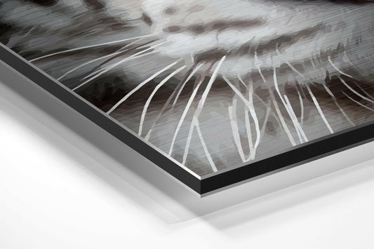 White Tiger Brushed Aluminium Dibond Wall Art