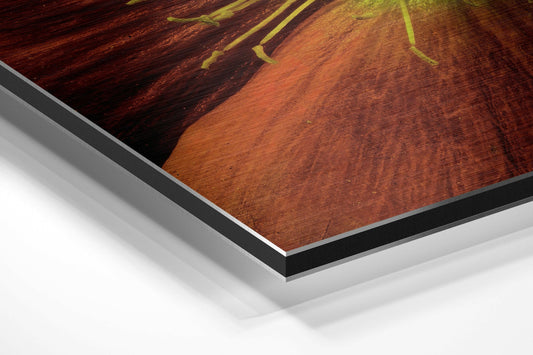 Red Orange Poppy Macro Brushed Aluminium Dibond Wall Art