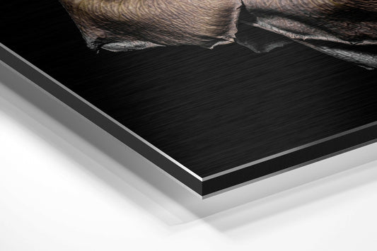 Silver and Gold Metallic Rose Brushed Aluminium Dibond Wall Art