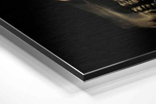Bronze Skull Brushed Aluminium Dibond Wall Art