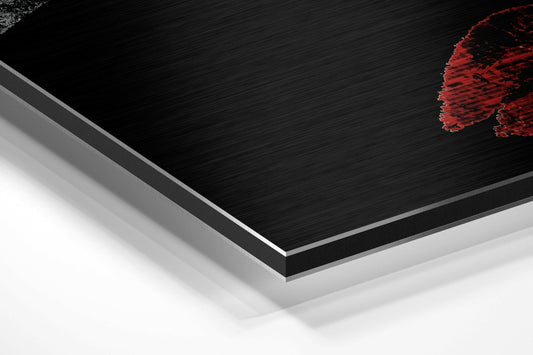Divided  Brushed Aluminium Dibond Wall Art