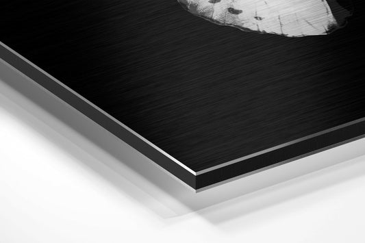 White Butterfly on Black Brushed Aluminium Dibond Wall Art