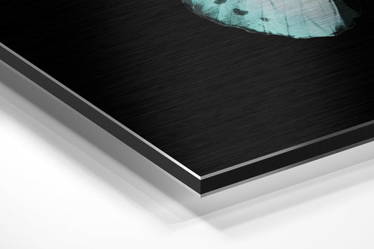 Teal Mint Butterfly Brushed Aluminium Dibond Wall Art