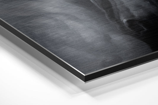 White Horse Flowing Mane Profile Brushed Aluminium Dibond Wall Art