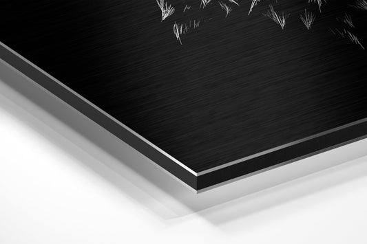 Owl Brushed Aluminium Dibond Wall Art