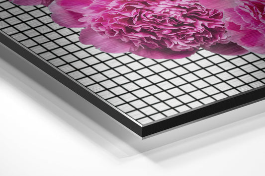 Pink Carnation Hands And Lips Brushed Aluminium Dibond Wall Art
