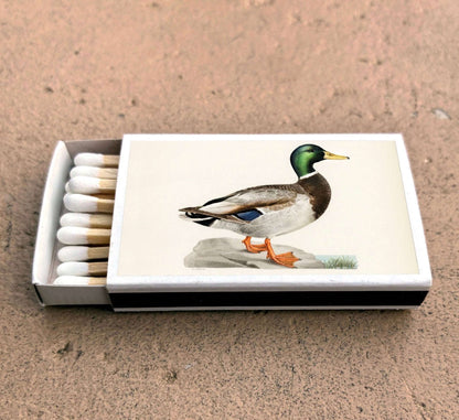 Mallard Duck Matchbox Otarealm