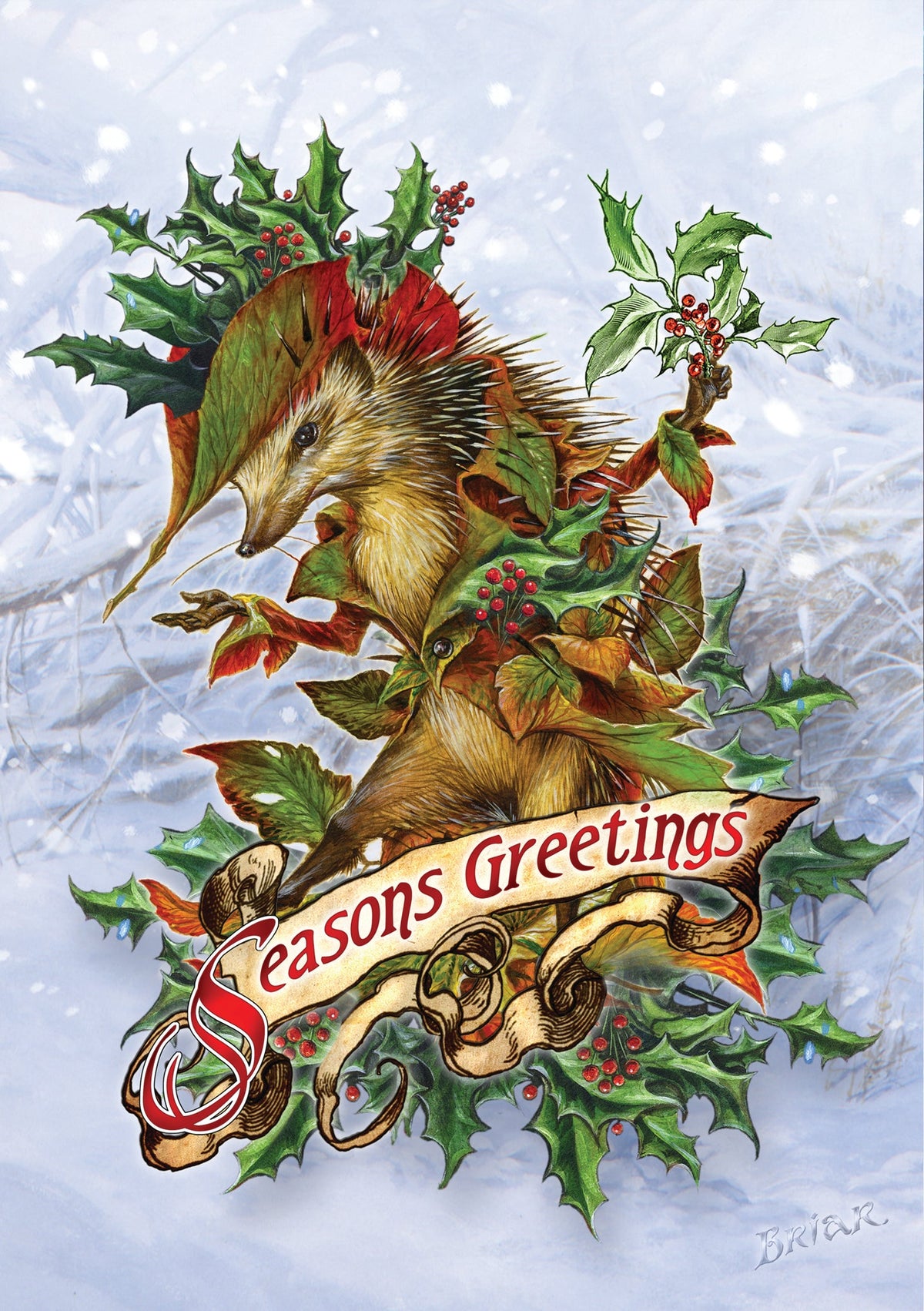 Mr. Hedgely's Yuletide Coat Card
