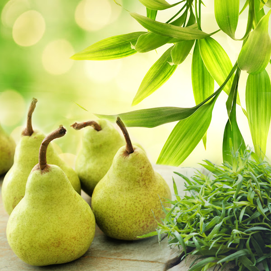 Bamboo Pear Tarragon (Discontinued)