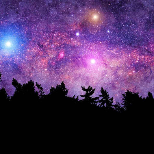Beneath the Stars - Premium Fragrance Oil