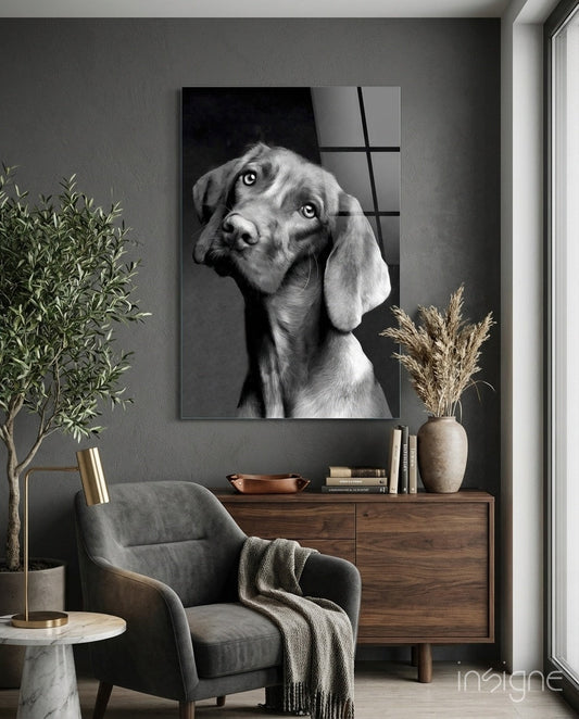Innocent Dog Glass Wall Art