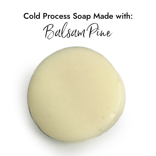 Balsam Pine -   (Pre-Order : Expected Ship Date 8-6)