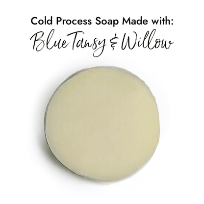 Blue Tansy & Willow - Premium Fragrance Oil