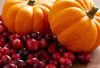 Cranberry Pumpkin (Discontinued) BBW Type