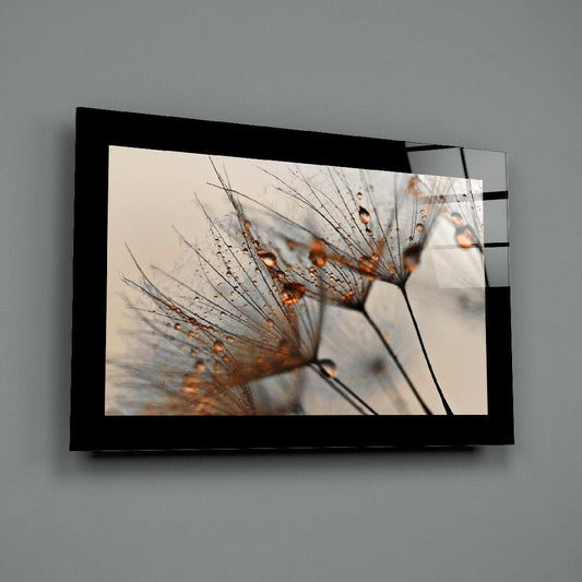 Backlit Dandelion Seed Macro Glass Wall Art