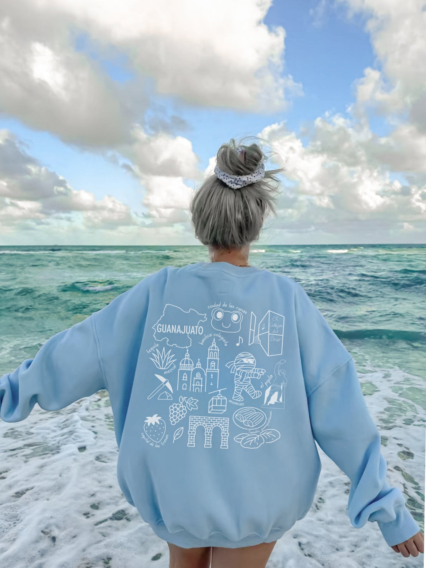 México State Sweater w/ Embroidery