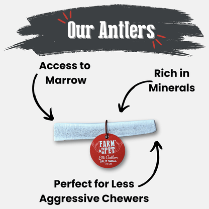 Elk Antler Dog Chews | All-Natural Whole and Split Elk Antler Chews for Dogs