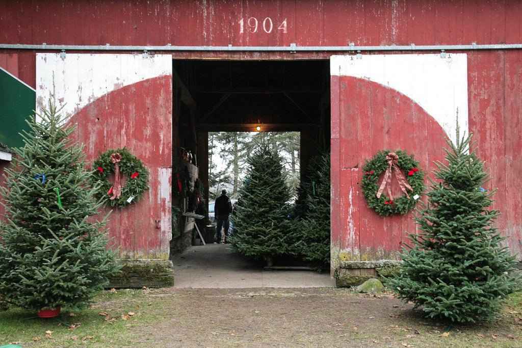 Farmhouse Christmas -  (Pre-Order : Expected Ship Date 8-6)