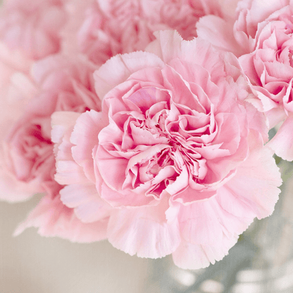 Flowerbomb type - Premium Fragrance Oil - Compare to Viktor & Rolf®