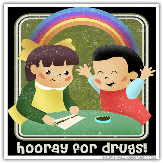 Hooray for Drugs Flexible Magnet