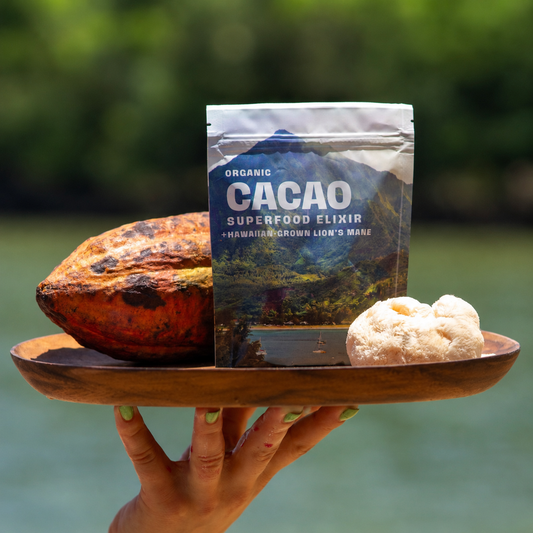 Lion's Mane Cacao (Energy)