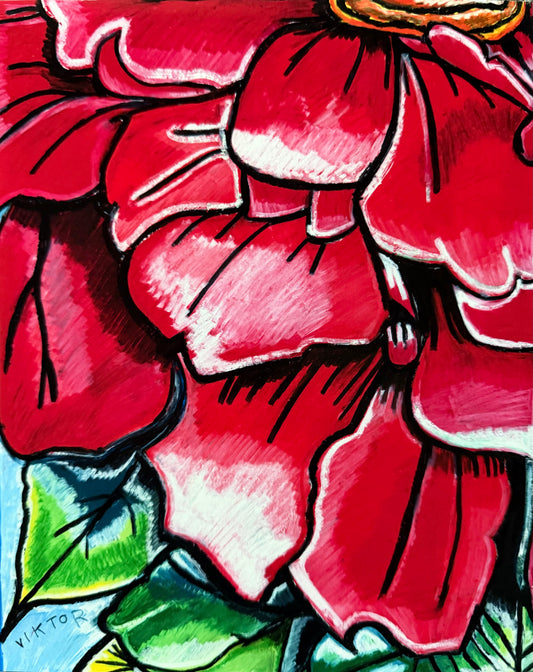 Zinnia Ember - Art Prints