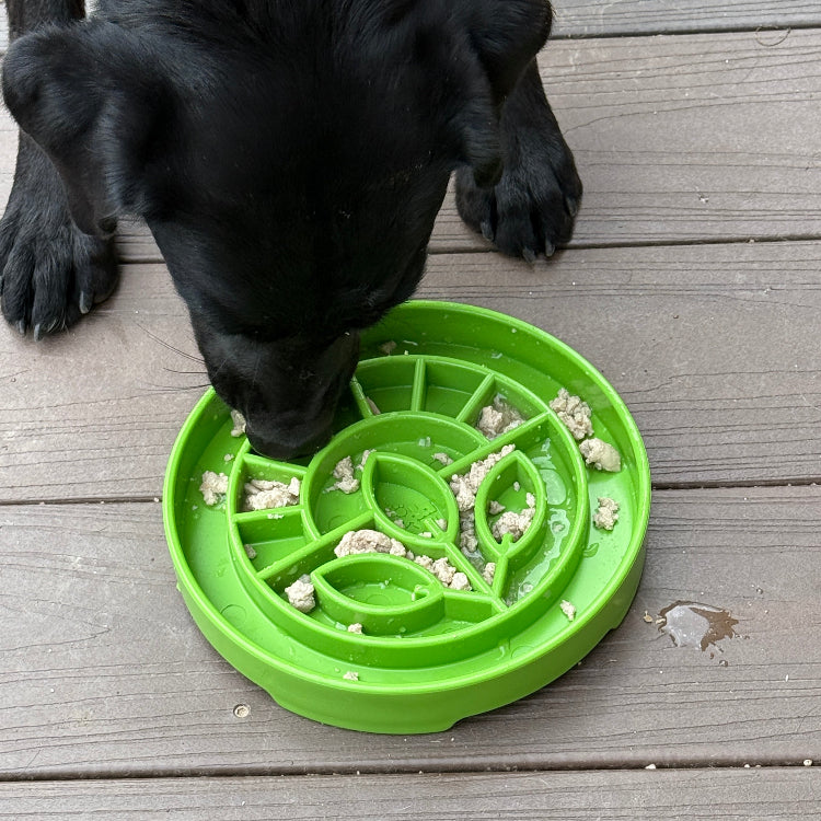 Garden Design eTray - Shallow Slow Feeder Dog Bowl for Enrichment | USA