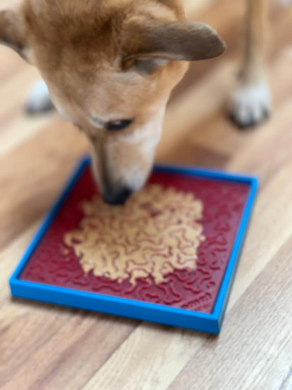 Hold 'em Suction Cup Holder for Dog Bowls & Lick Mats | USA Made