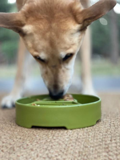 Pine Tree Christmas eBowl Deep Slow Feeder Dog Bowl for Enrichment | USA Made