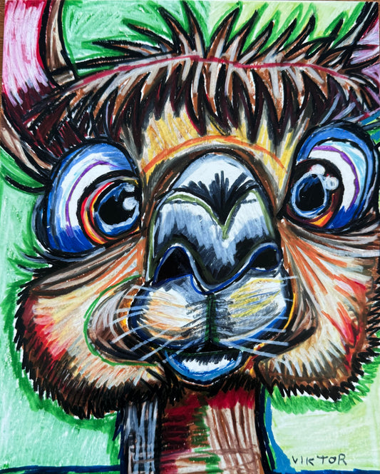 Alpaca - Art Prints