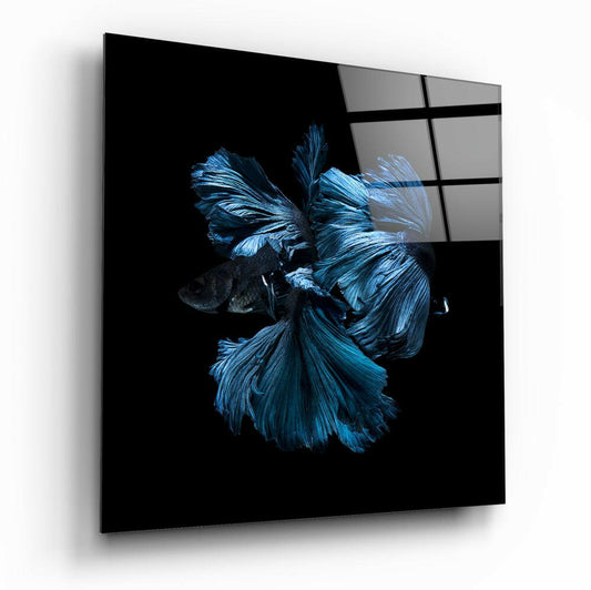 Sapphire Halfmoon Betta Fish Glass Wall Art