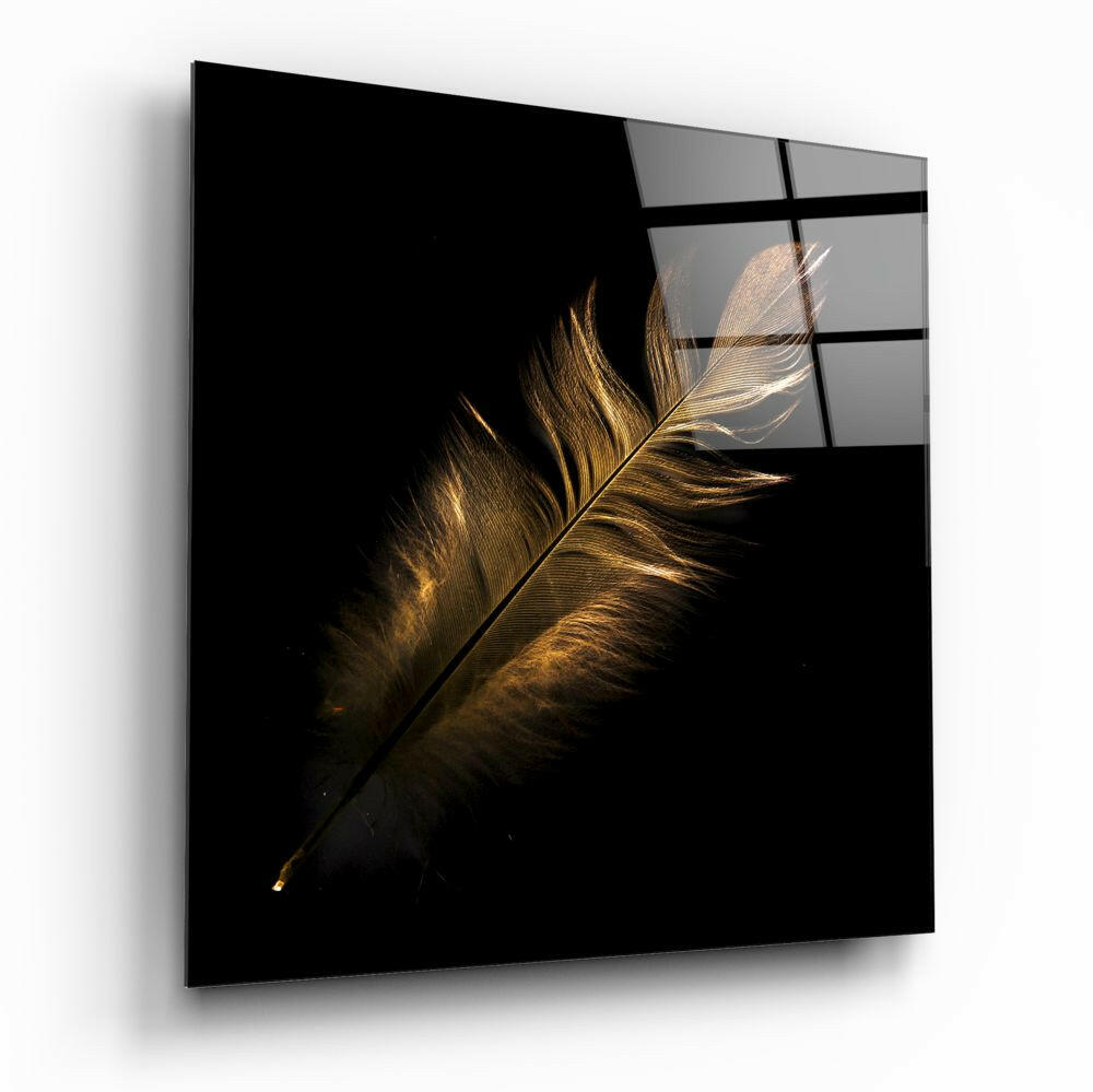 Golden Backlit Feather on Black Glass Wall Art