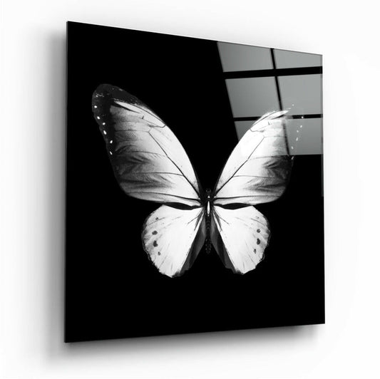 White Wings On Black Butterfly Glass Wall Art