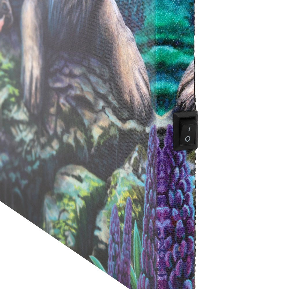 Fairy Stories Light Up Canvas Print by Lisa Parker