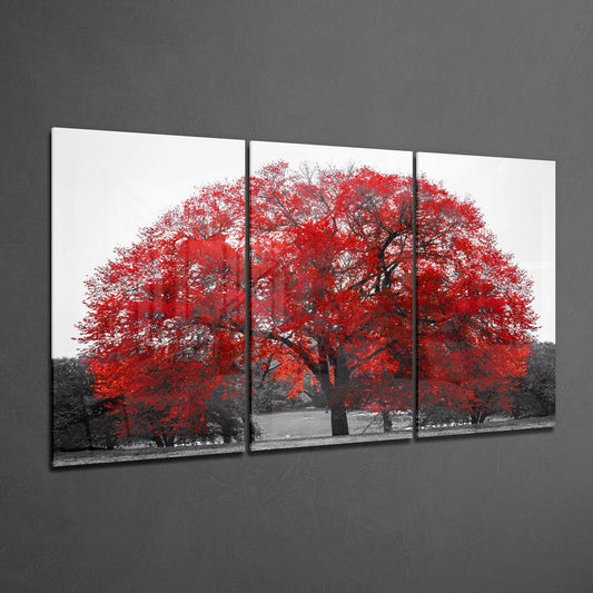 Red Canopy Tree Field Glass Wall Art