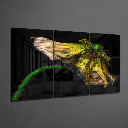 Wilting Yellow Poppy On Black Glass Wall Art