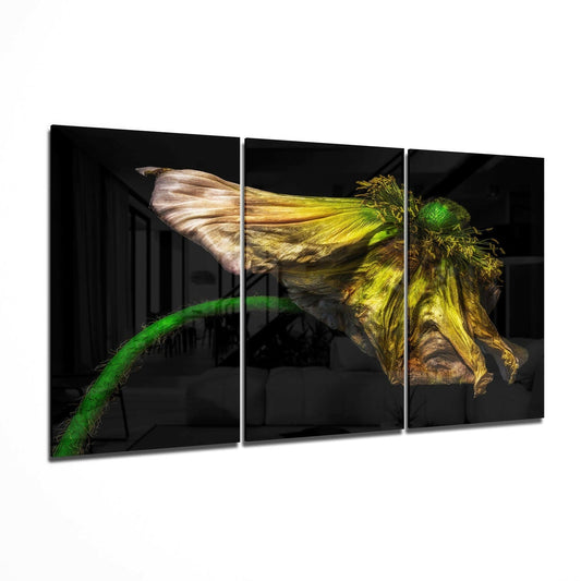 Wilting Yellow Poppy On Black Glass Wall Art