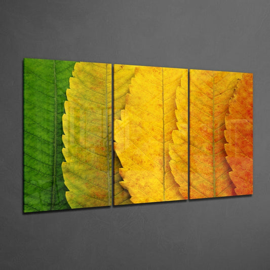 Green To Orange Leaf Gradient Glass Wall Art