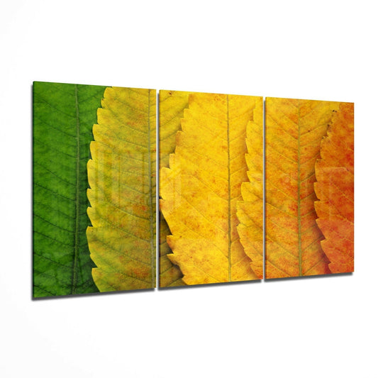Green To Orange Leaf Gradient Glass Wall Art