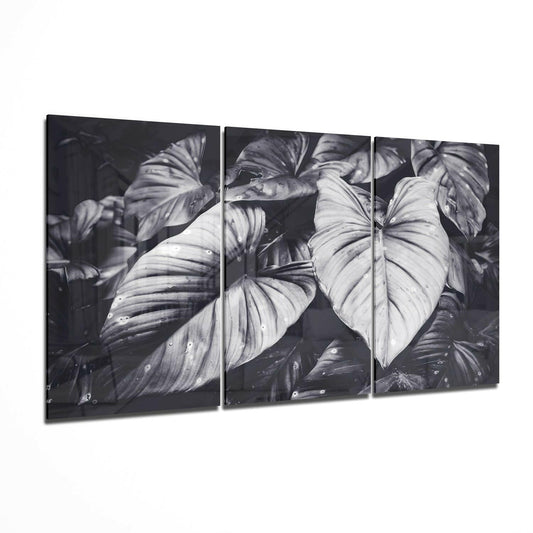 Black White Tropical Leaves Glass Wall Art