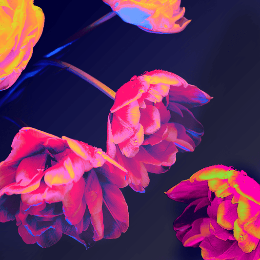 Neon Blossoms - Premium Fragrance Oil