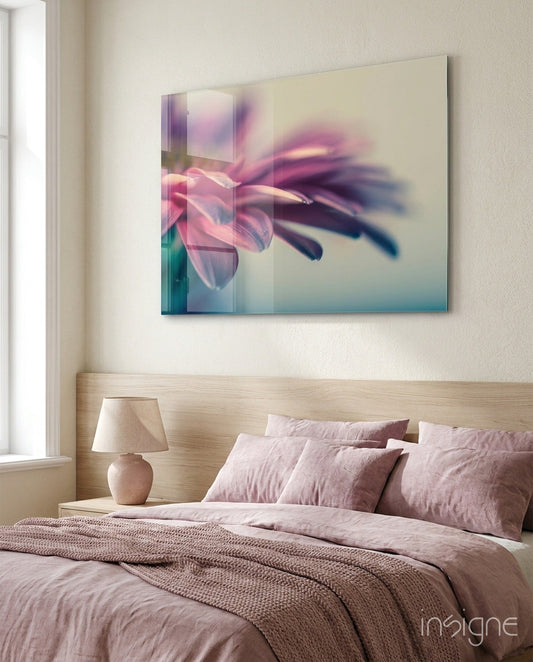 Soft Pink Gerbera Petals Glass Wall Art