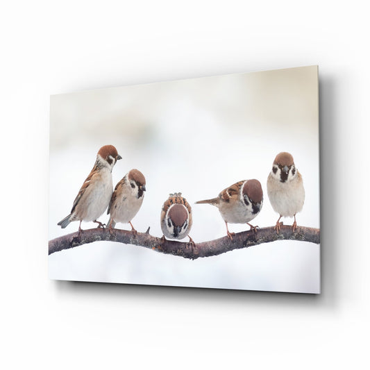 Five Sparrows Perched On Branch Glass Wall Art