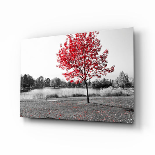 Lone Red Tree Bench Glass Wall Art